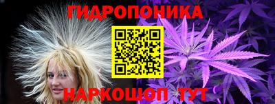 трава Новозыбков