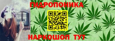 трава Новозыбков
