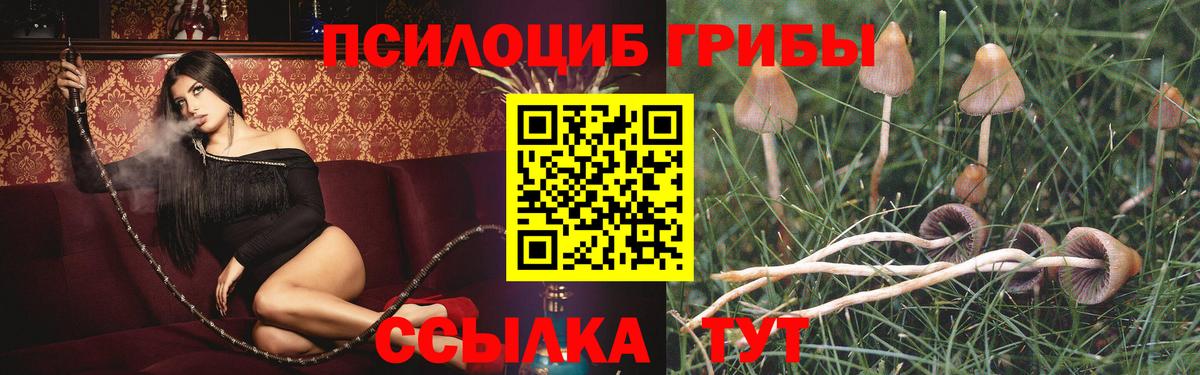 Псилоцибиновые грибы прущие грибы  Галлюциногенные грибы ЛСД  Семёнов  Вход с VPN 